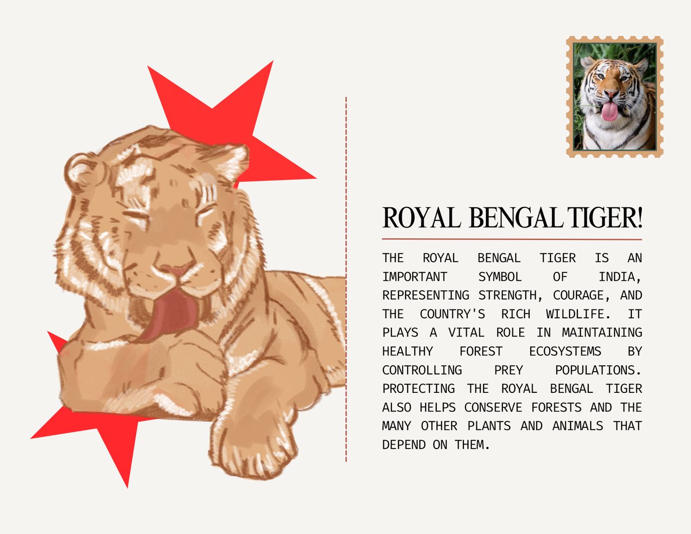 Royal Bengal Tiger — India
